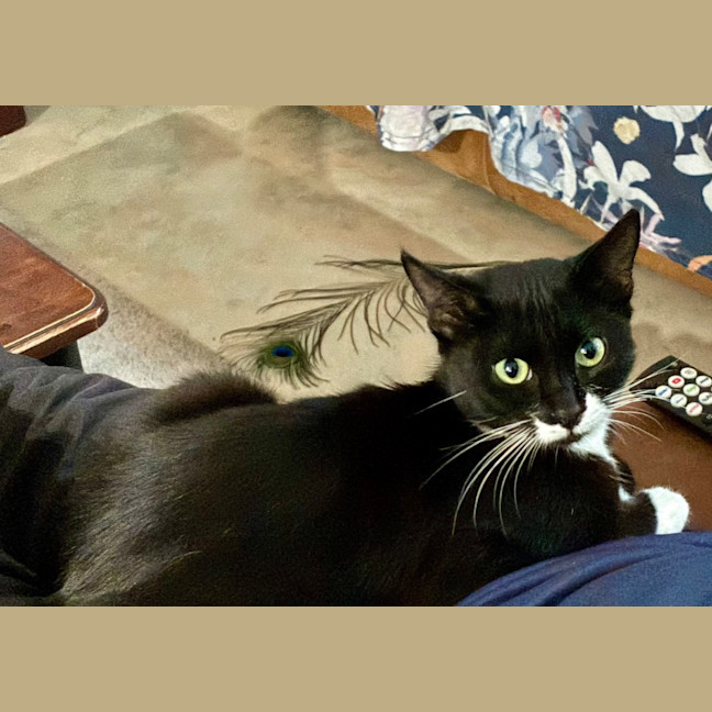 Photo of Buster