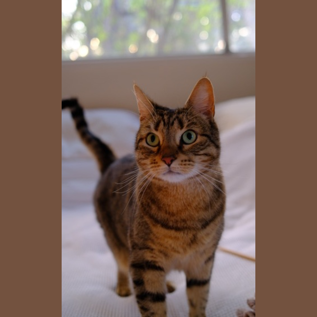Photo of Luna