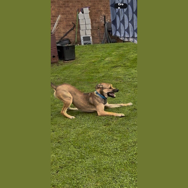 Photo of Jack