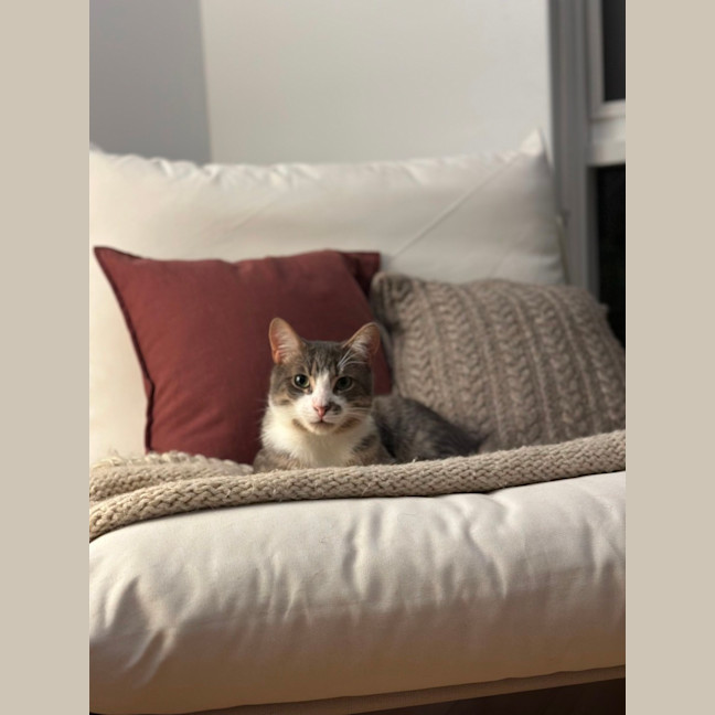 Photo of Mischa