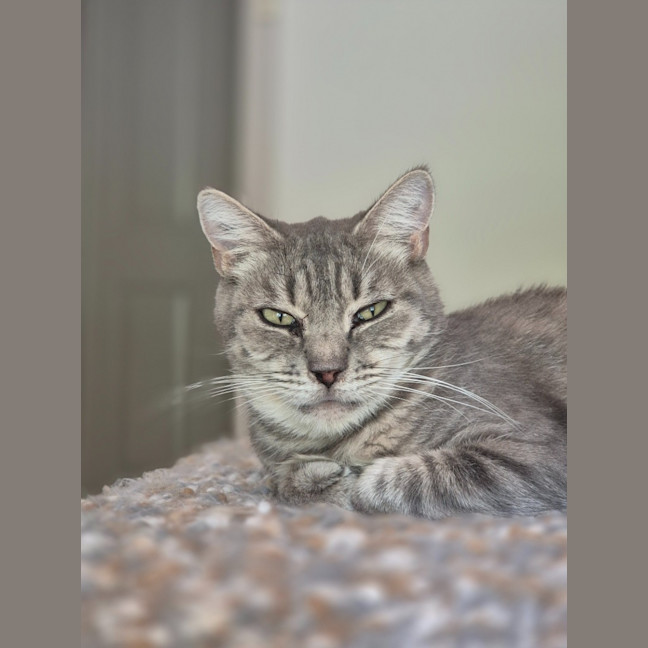 Photo of Cleo