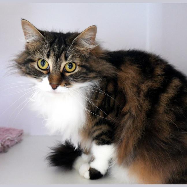 Photo of Ivy Sta012785