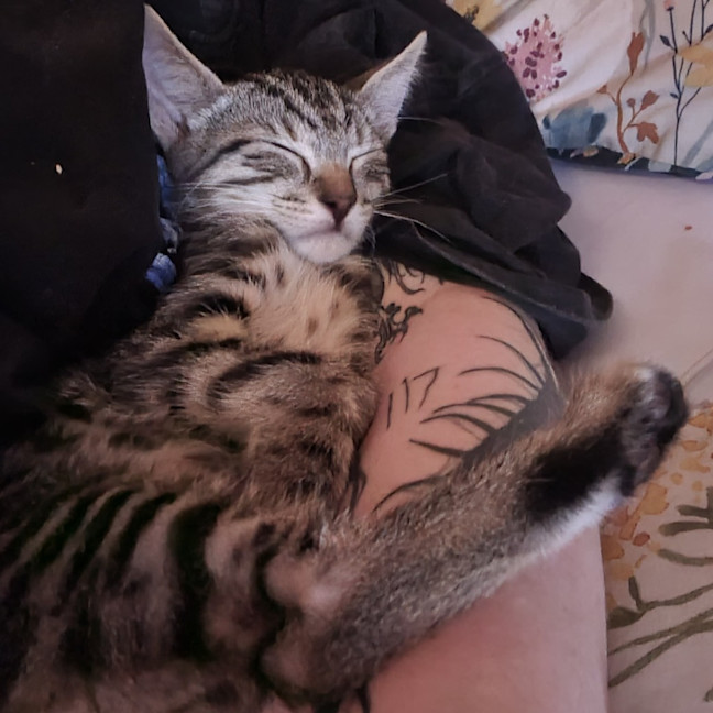Photo of Reggie
