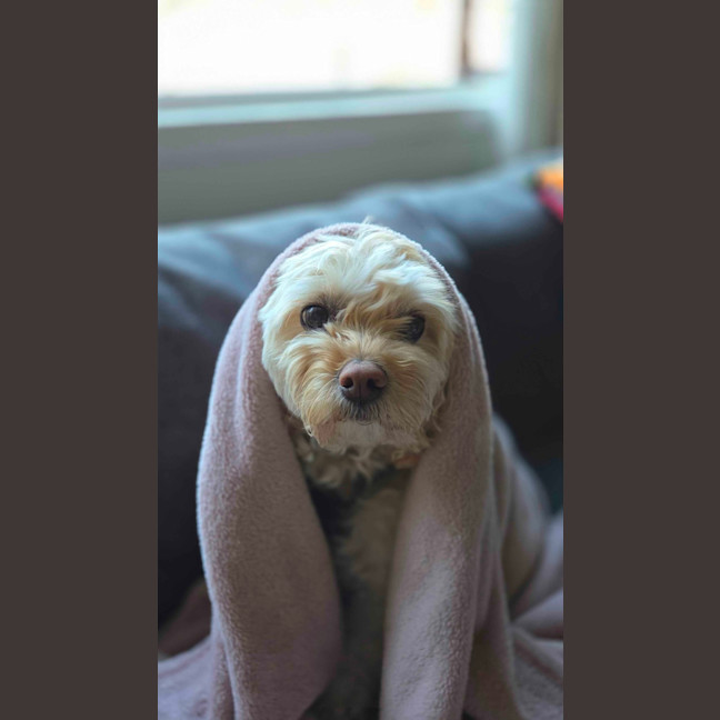 Photo of Asher