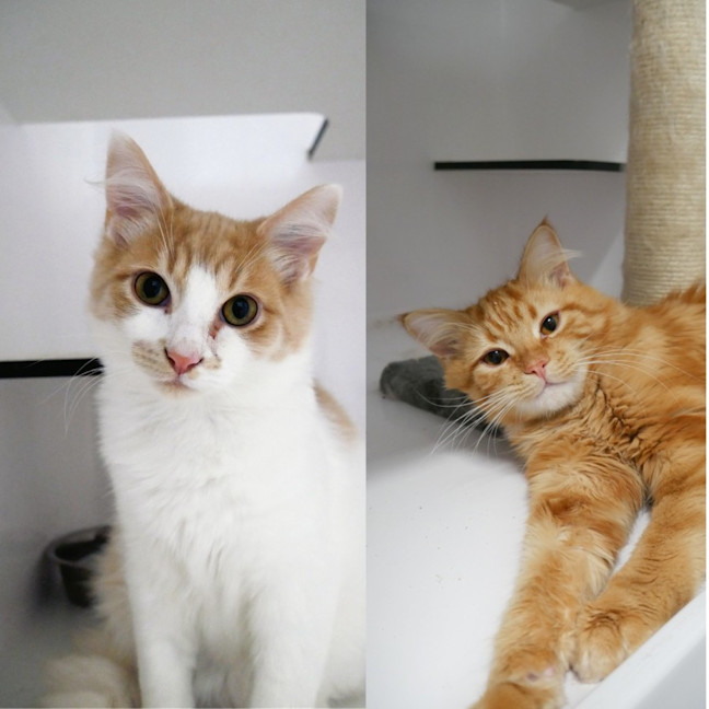 Photo of Squishy Suk015644 & Dumpy Rstk014577