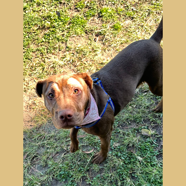 Photo of Echo