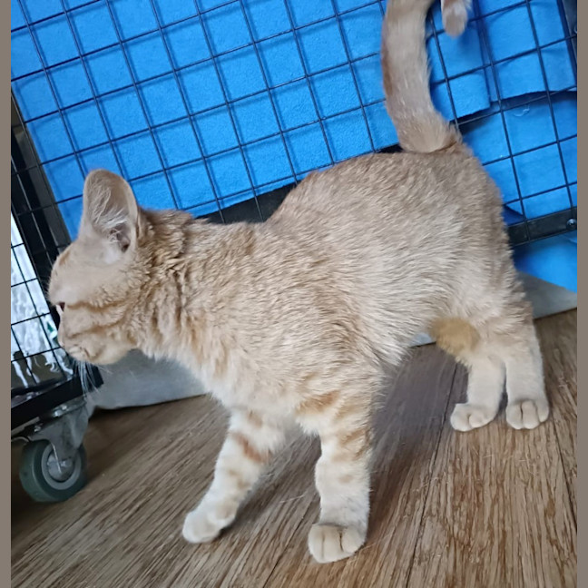 Photo of Sunnysideup