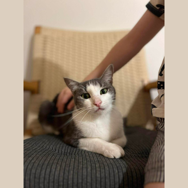 Photo of Maisey