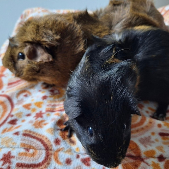 Photo of Caramel & Chocolate