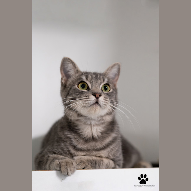 Photo of Molly 