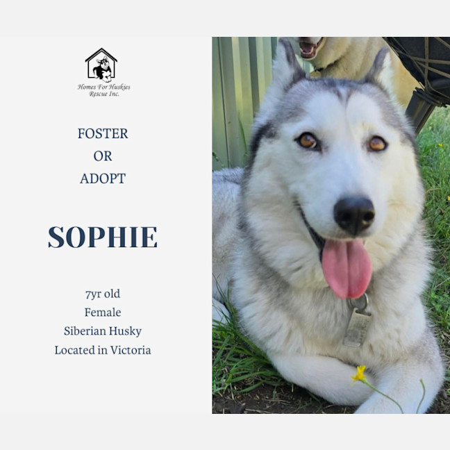 Photo of Sophie