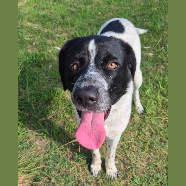 Photo of Lady Primrose (8981)