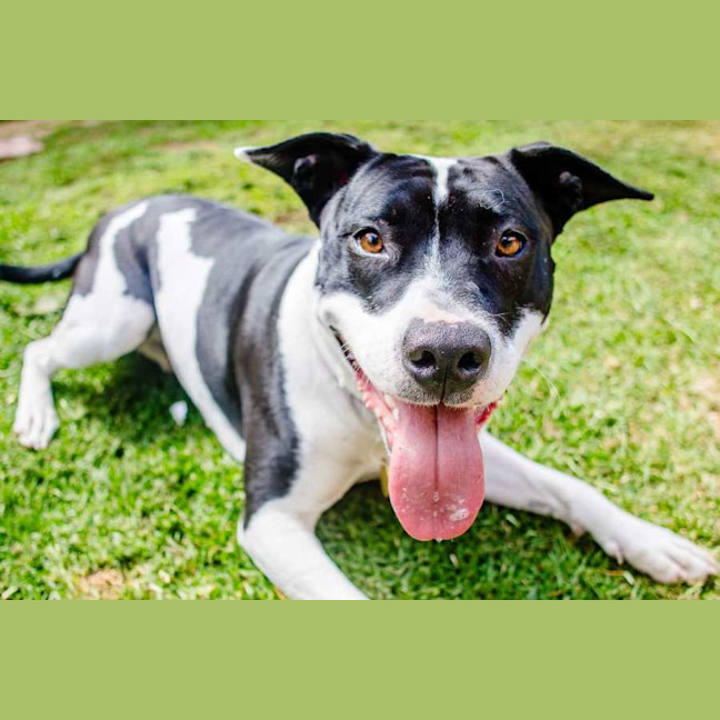 Photo of Maggie Junee