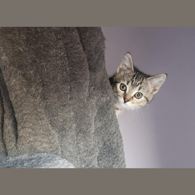 Photo of Margot   Located In Templestowe