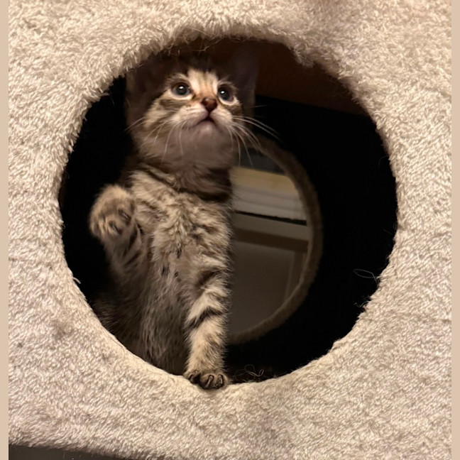 Photo of Rosie