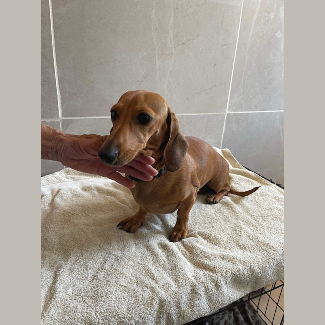 Photo of Betty And Dobbie