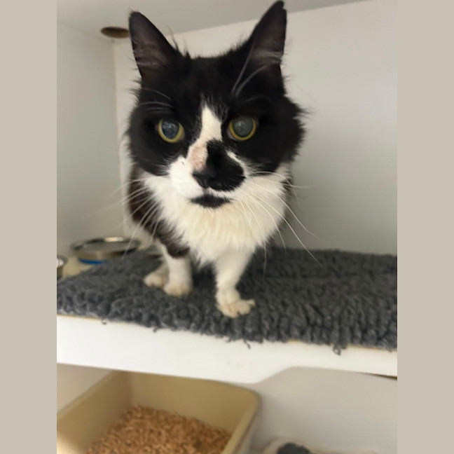 Photo of 🍙 Nancy 6831 🍙