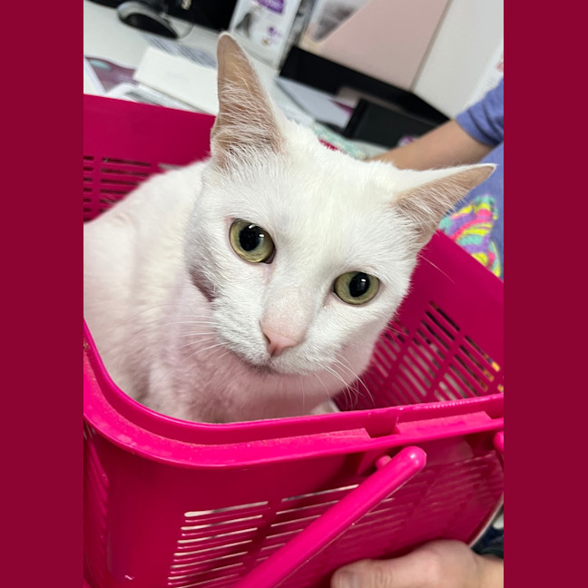 Photo of Maggie