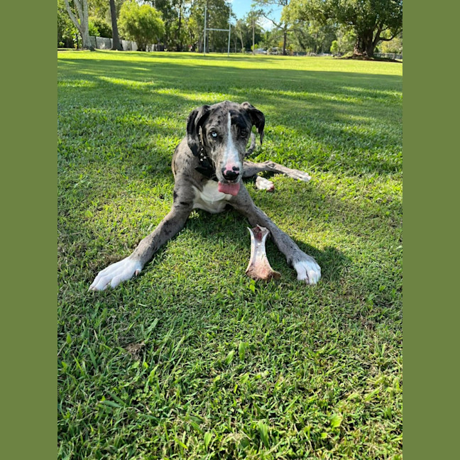Photo of Thumper