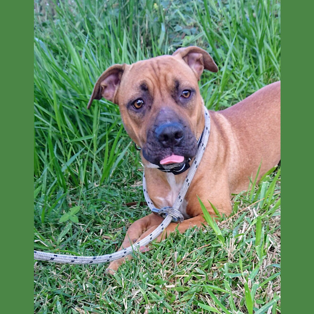 Photo of Hazel