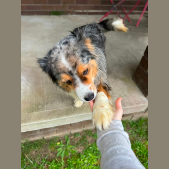Photo of Bonus