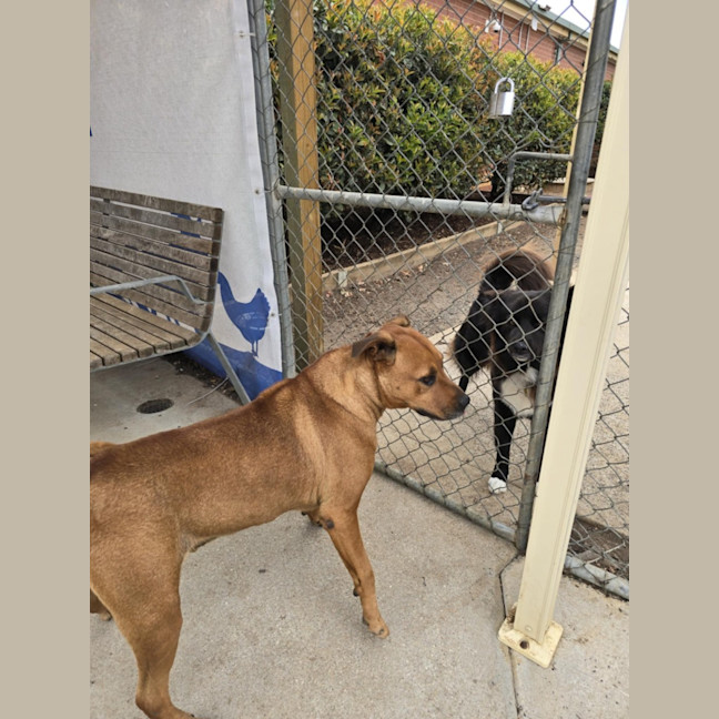 Photo of Thunderstruck