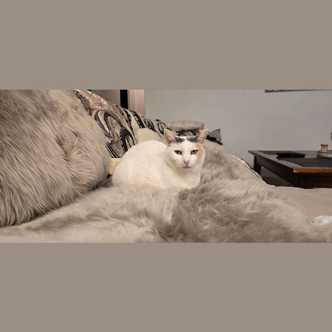 Photo of Angel