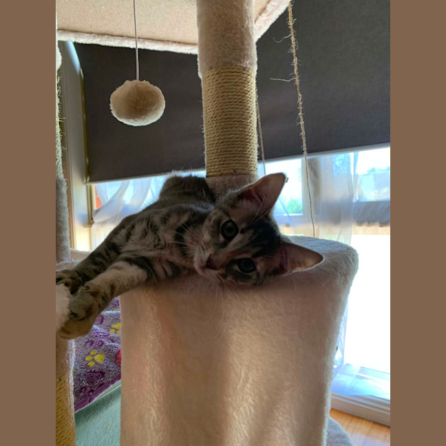 Photo of Zoe 