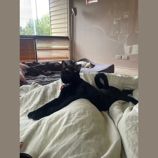 Photo of Kiko