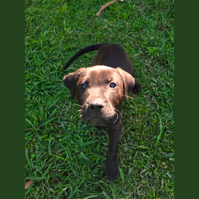 Photo of Axel