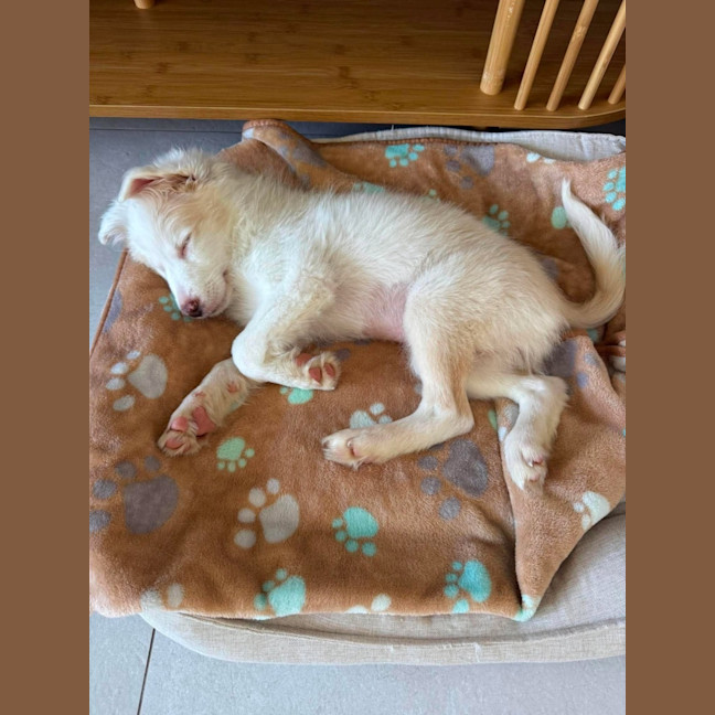 Photo of Tilly