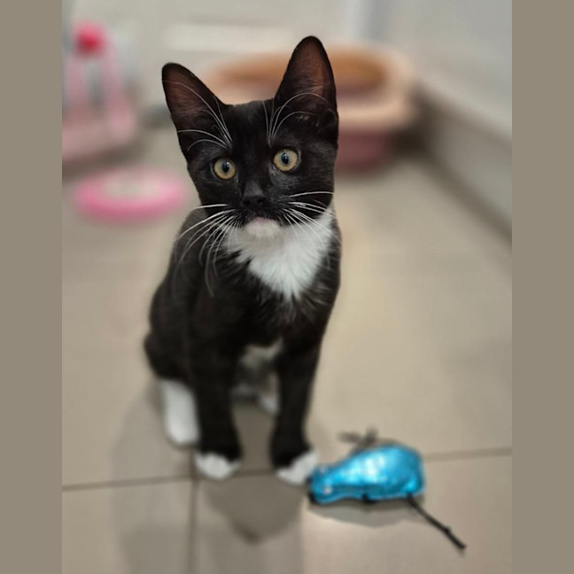 Photo of Sprout