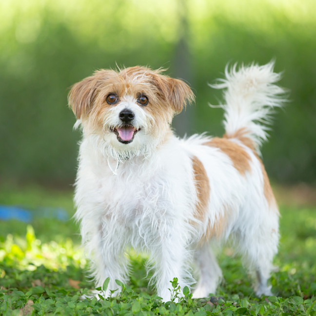 Photo of Heidi