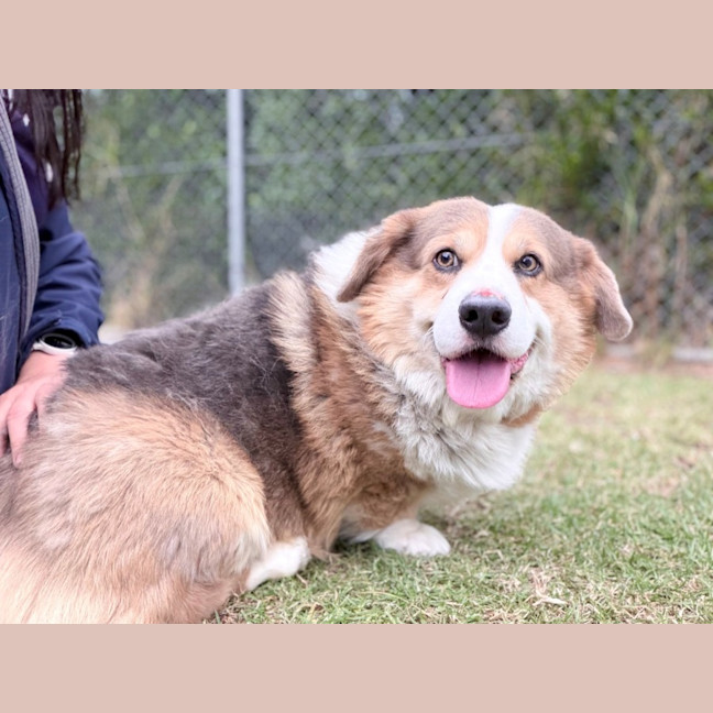 Photo of Duke
