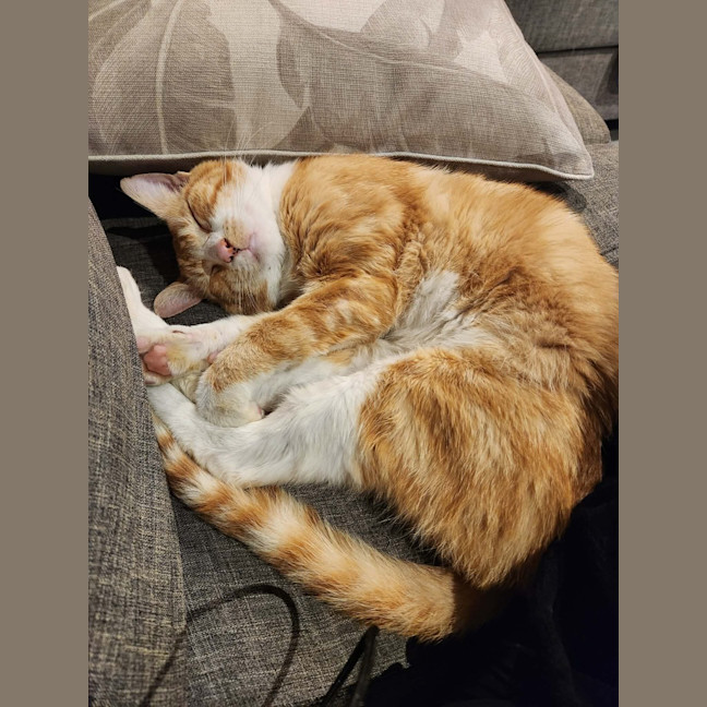 Photo of Julio