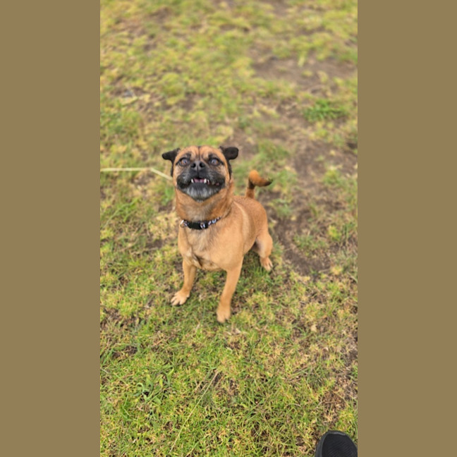 Photo of Otis (67779)