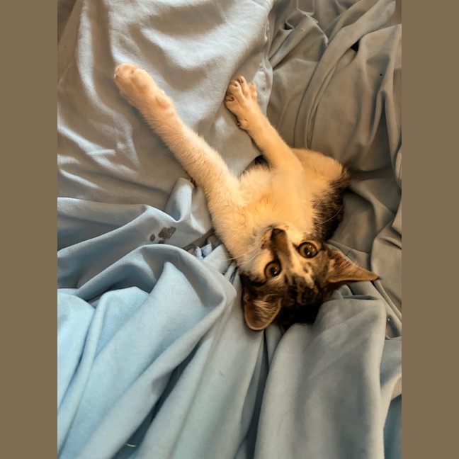 Photo of Polly