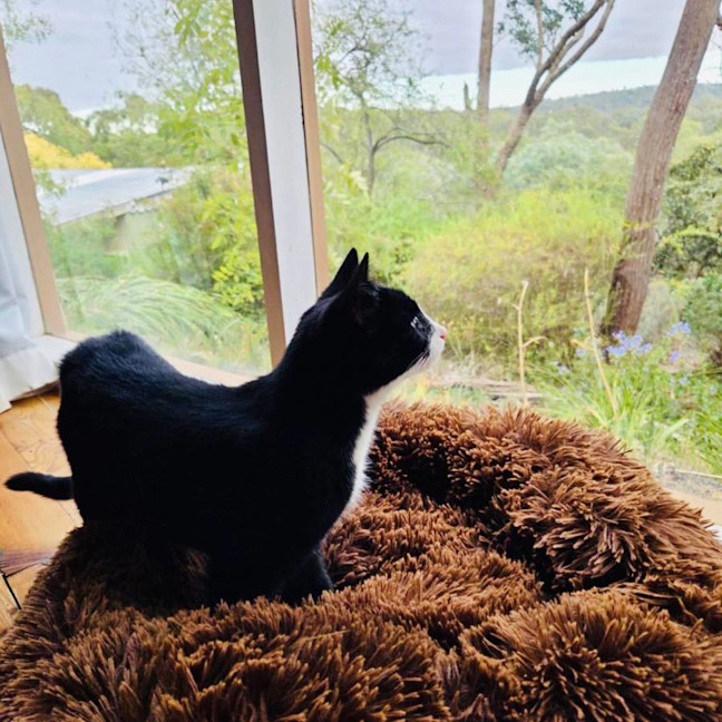 Photo of Edith   Located In Warrandyte