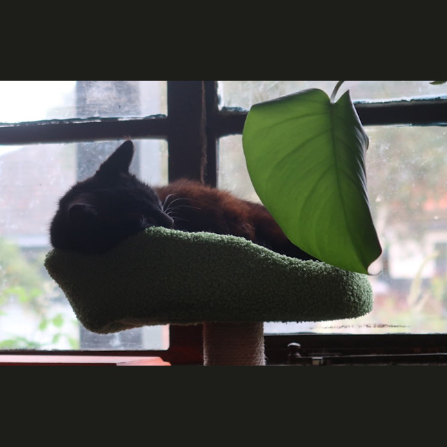 Photo of Solar