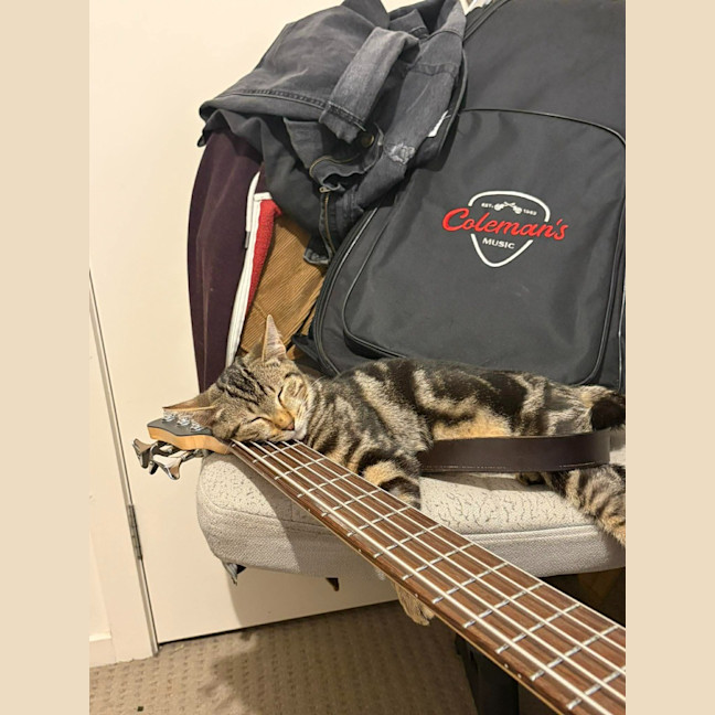 Photo of Earl