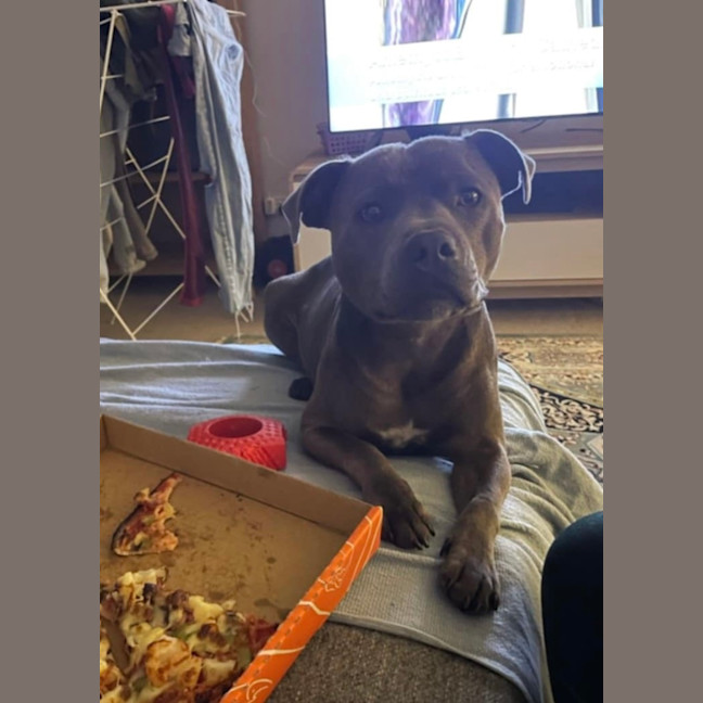 Photo of Freddy