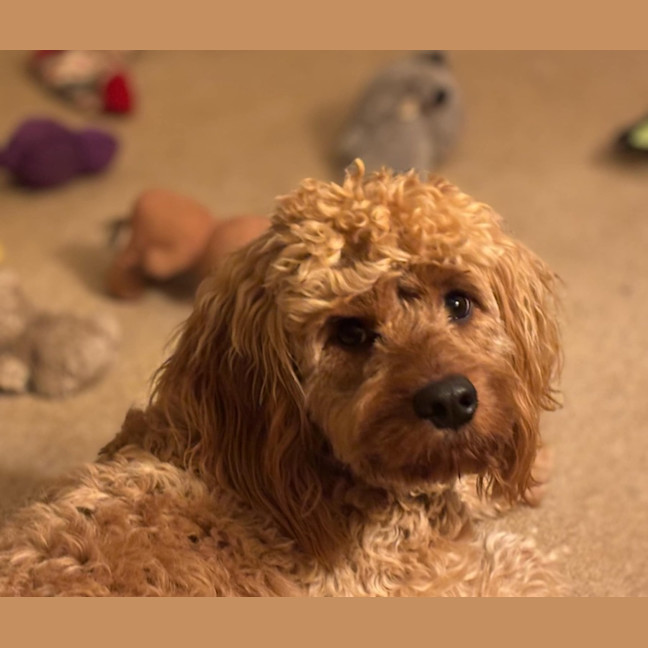 Photo of Jazz