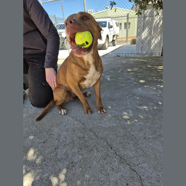 Photo of Skylar! 🌈