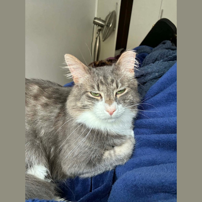 Photo of Sawyer