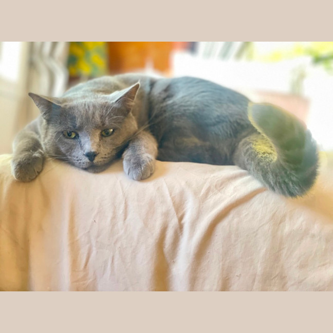 Photo of Joy