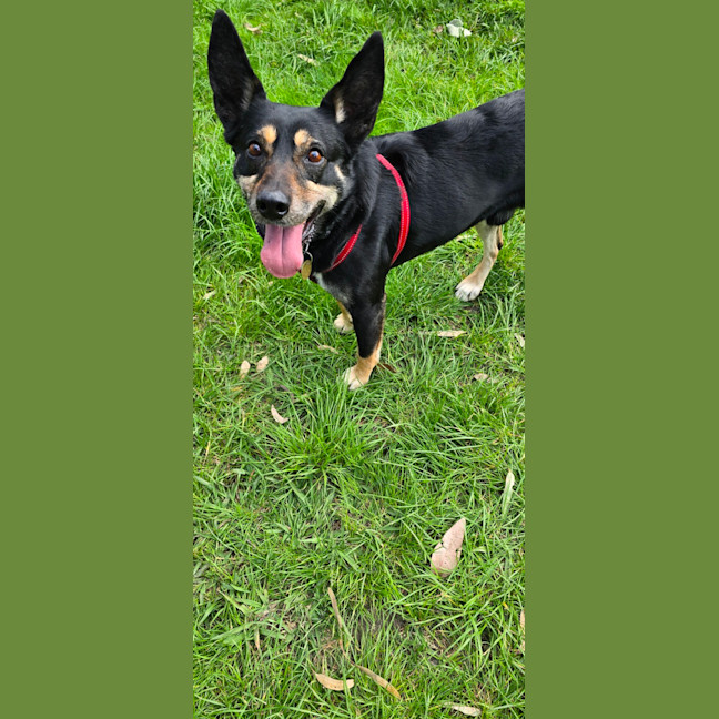 Photo of Bueno