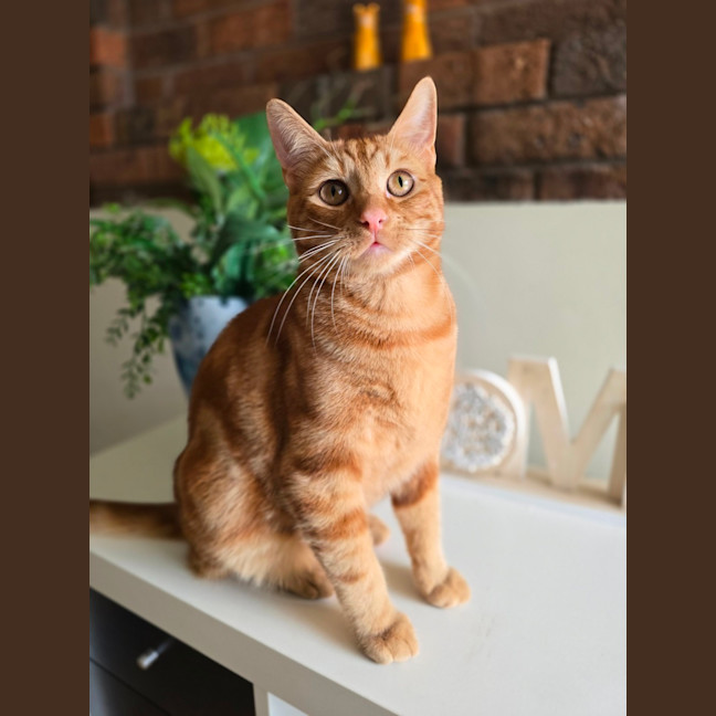 Photo of Amity (Located In Wantirna South)