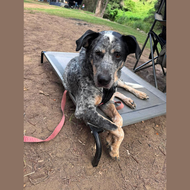 Photo of Finley