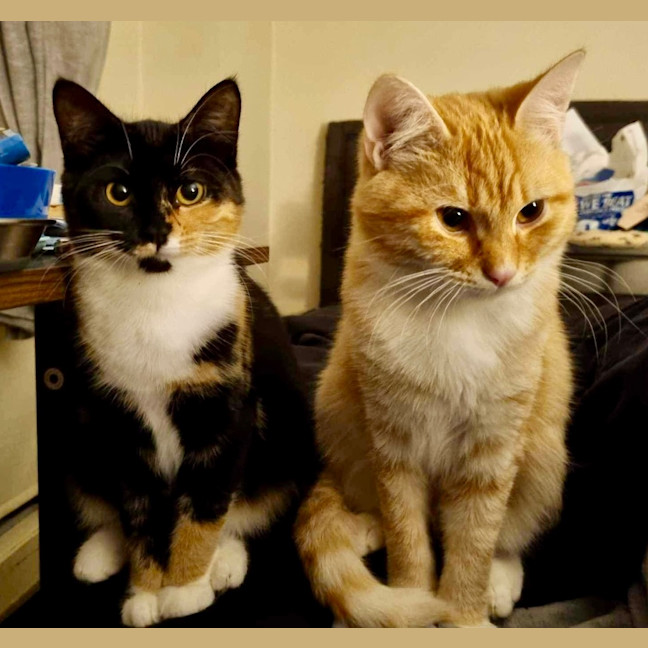 Photo of Gilly Bunny