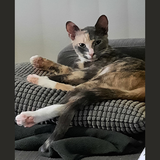 Photo of Wobbles 